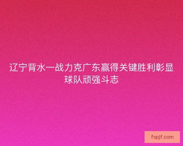 辽宁背水一战力克广东赢得关键胜利彰显球队顽强斗志