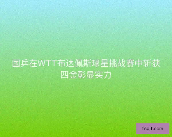 国乒在WTT布达佩斯球星挑战赛中斩获四金彰显实力