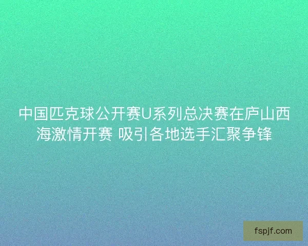 中国匹克球公开赛U系列总决赛在庐山西海激情开赛 吸引各地选手汇聚争锋