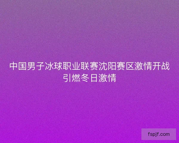 中国男子冰球职业联赛沈阳赛区激情开战引燃冬日激情